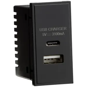Dual USB A+C Charger Module (5V DC3.1A Max. 15.5W)