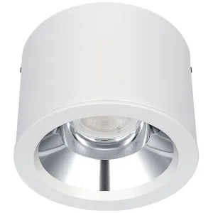 PLATINUM SURFACE RAL 9016 SURFACE D-LIGHT 225MM 12