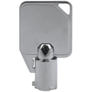 SPARE KEYS FOR MAGDUO PANELS PACK OF 2