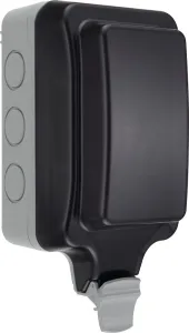 WP23L-01_1.jpg