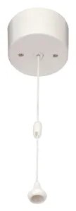 10AX 2 Way Pull Switch
