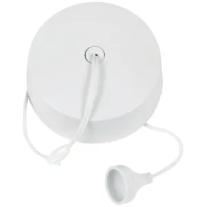 6A Ceiling Switch 2 Way