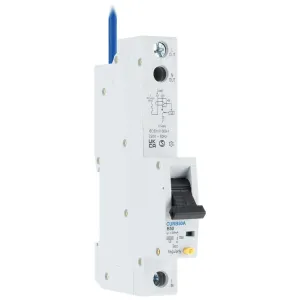 RCBO 50A B A TYPE