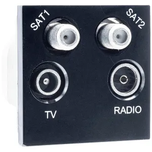 EURO MODULE TV, RADIO, DUAL SATELLITE MODULE - TV