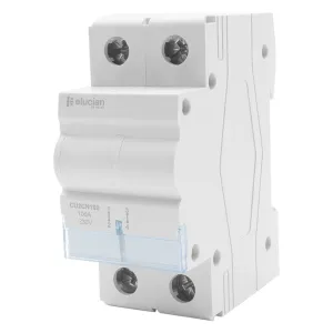 100A 2 Pole Connector
