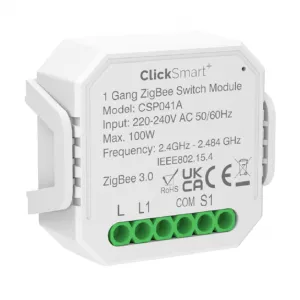 100W 1 Gang Smart Switching Receiver