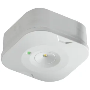 230V 3W LED Surface Emergency Downlight