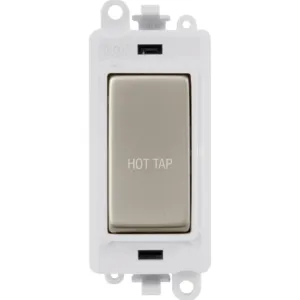 20AX Double Pole Switch Module - Polar White - Pea