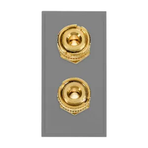 Loudspeaker Module