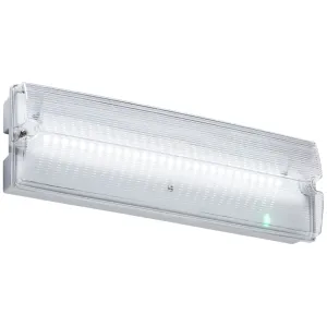 230V IP65 4W LED Emergency bulkhead (maintained/no