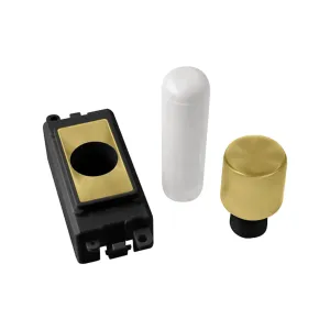 1 Module Dimmer Mounting Kit - Black - Satin Brass