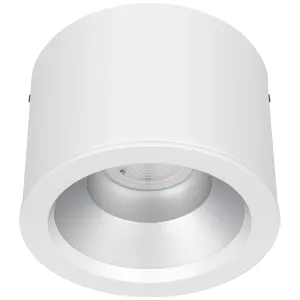PLATINUM MATT SURFACE D-LIGHT RAL 9016 228MM 1650L