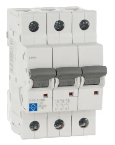 LEWDEN MCB TP Type C 6A 10kA
