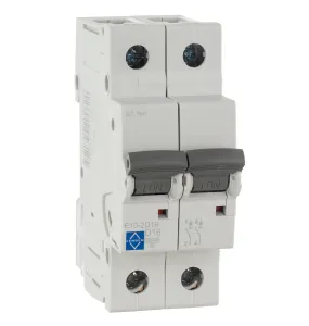 LEWDEN MCB DP Type D 16A 10kA