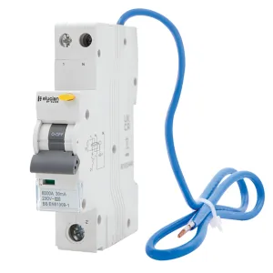 1 Pole + Switched Neutral Bi-Directional True 6Ka