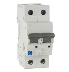 LEWDEN MCB DP Type C 63A 10kA