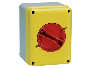 LEWDEN WALL-MOUNT.EMERG.ISOLAT.SWITCH IP65 4P 32A