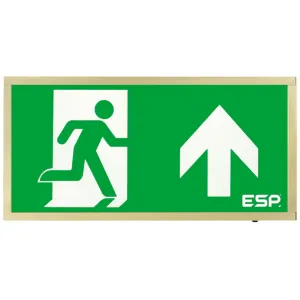 Duceri Emergency Surface Exit Box 3W LED IP20 Up L