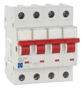 LEWDEN 4P Main Switch 100A