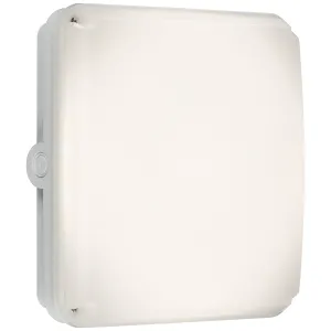 Square White Casing for TENAX Quad