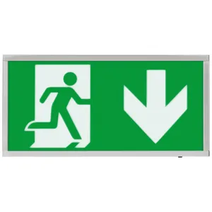 Duceri Emergency Exit Box Down Legend 3W LED IP20
