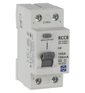 LEWDEN 100A 100MA 2P TIME DELAY RCCB TYPE A