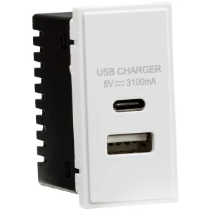 Dual USB A+C Charger Module (5V DC3.1A Max. 15.5W)