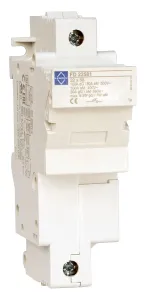 LEWDEN FUSE DISCONNECTOR 100A 22X58MM 1P