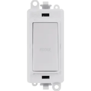 20AX Double Pole Switch Module - Polar White - Fri
