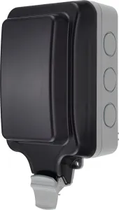 WP23L-01_1.jpg