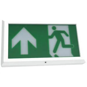 TEMPUS EXIT BOX 3HR EMERGENCY MAINTAINED C/W UP LE