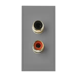 Twin RCA/Phono Module