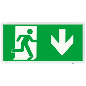 Duceri Emergency Self Test Surface Exit Box 3W LED