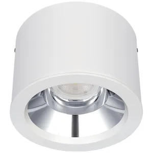 PLATINUM GLOSS  RAL 9016 SURFACE D-LIGHT 225MM 250