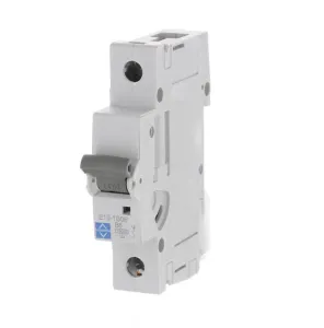 LEWDEN MCB SP Type D 32A 10kA