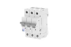 LEWDEN MCB TP Type D 06A 10kA