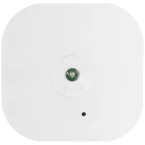 Duceri Emergency Self Test Surface Downlight 3W LE
