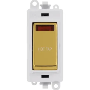 20AX Double Pole Switch With Neon Module - Polar W