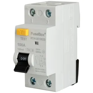 TYPE A 100A 100mA 2P RCD ""S"" TYPE