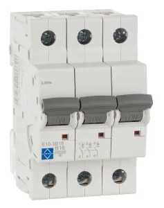 LEWDEN MCB TP Type B 16A 10kA