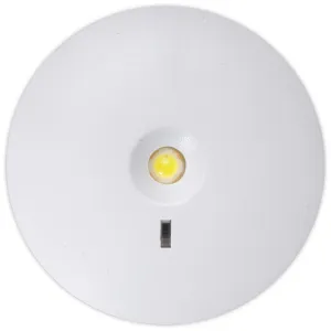 DOWNLIGHT 3HR MAINTAINED EMERGENCY 149LM 6W
