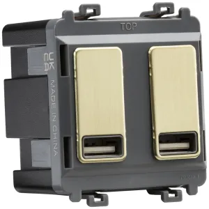 Dual USB charger module (2 x grid positions) 5V 2.
