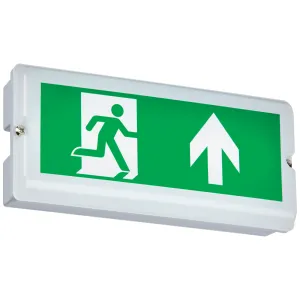 230V IP65 4W LED Emergency Bulkhead (maintained/ n